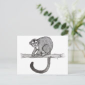 Nachtaffe (Aotus spec.) Skizze von Nicole Janes Postkarte (Stehend Vorderseite)