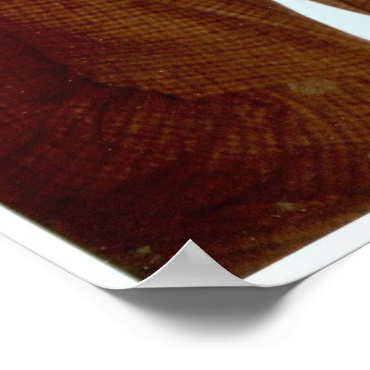 Nachtausflug in Baltimore mit Bob und Pam - 1960 Poster (Ecke)