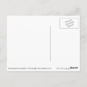 Nachtbeleuchtete Windmühlen in Holland Postkarte (Rückseite)