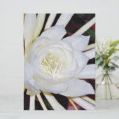 Nachtblühende Blume (Stehend Vorderseite)