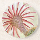 Nachtblühende Blume Untersetzer (Vorne)