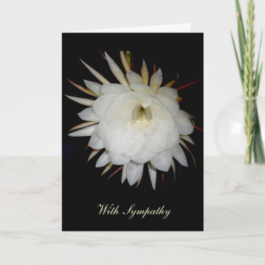 Nachtblühende Cereus Sympathy Card Karte (Vorderseite)