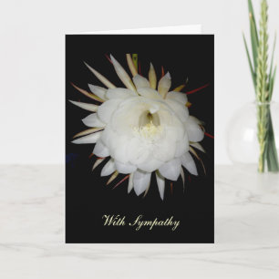 Nachtblühende Cereus Sympathy Card Karte