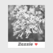 Nachtblühende Jasmine Aufkleber (Blatt)