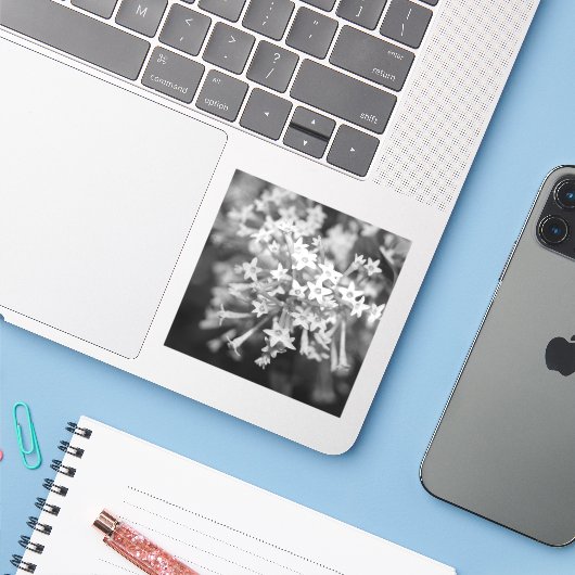 Nachtblühende Jasmine Aufkleber (Laptop mit iPhone)