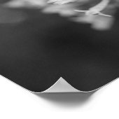 Nachtblühende Jasmine Poster (Ecke)