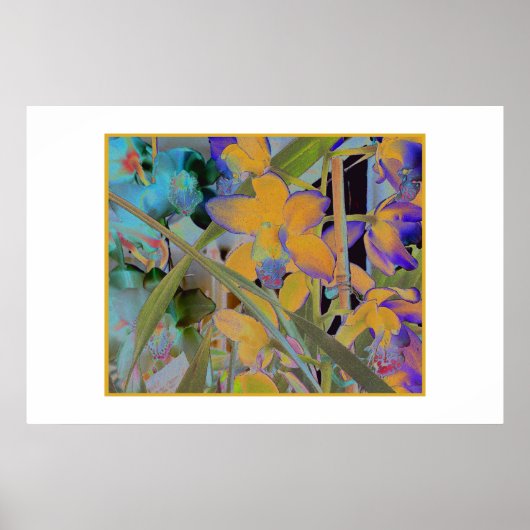 Nachtblüte Poster (Vorne)