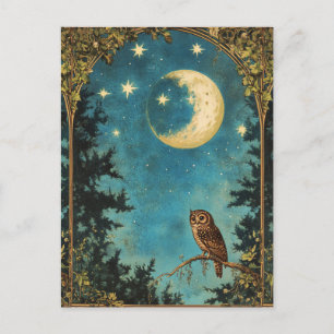 NACHTEULE VOLLMOND UND STERNENNACHT FEIERTAGSPOSTKARTE