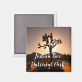 Nachtfall beginnt bei Joshua Tree Magnet (Vorderseite/Rückseite)