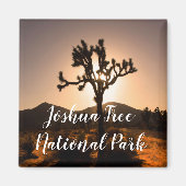 Nachtfall beginnt bei Joshua Tree Magnet (Vorne)