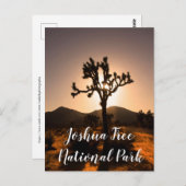 Nachtfall beginnt bei Joshua Tree Postcard Postkarte (Vorne/Hinten)