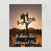 Nachtfall beginnt bei Joshua Tree Postcard Postkarte (Vorderseite)
