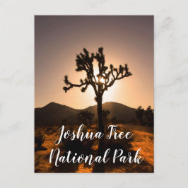 Nachtfall beginnt bei Joshua Tree Postcard Postkarte
