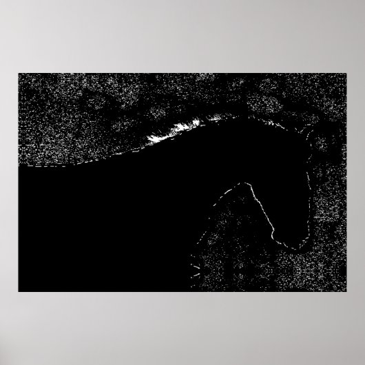 Nachtfall Equine Symphony Poster (Vorne)