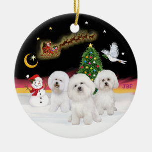 Nachtflug - Drei Bichon Frise Keramikornament