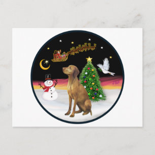 Nachtflug (R) - Vizsla Postkarte