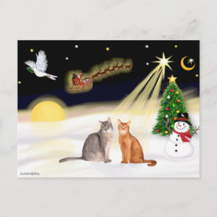 Nachtflug - Zwei abessinische Katzen Postkarte