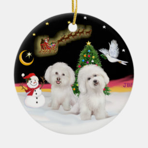 Nachtflug - Zwei Bichon Frise Keramik Ornament