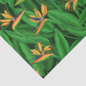 Nachtgeflügel im Paradies Seidenpapier (Ausschnitt)