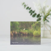 Nachtheron Foto Postkarte (Stehend Vorderseite)