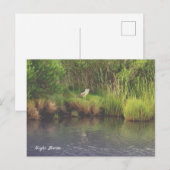 Nachtheron Foto Postkarte (Vorne/Hinten)