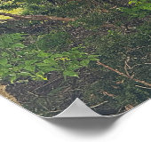 Nachtheron in Tree Poster (Ecke)
