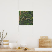 Nachtheron in Tree Poster (Küche)