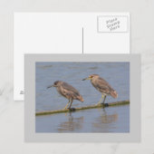 Nachtherzen Postkarte (Vorne/Hinten)