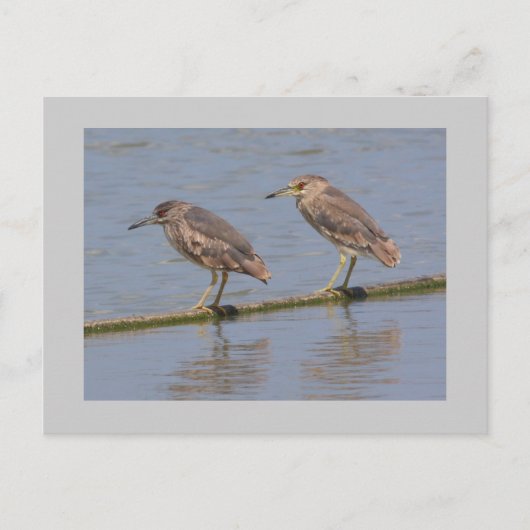 Nachtherzen Postkarte (Vorderseite)