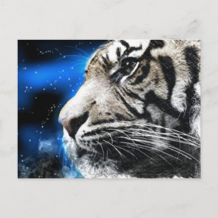 Nachthimmel Sterne weißer Tiger Postkarte