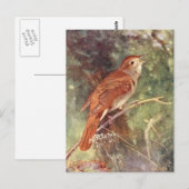 Nachtigale Singing Postkarte (Vorne/Hinten)