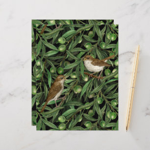 Nachtigales im Olivenbaum 3