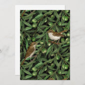 Nachtigales im Olivenbaum 3 (Vorne/Hinten)