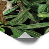 Nachtigales im Olivenbaum 3 Poster (Ecke)