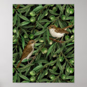 Nachtigales im Olivenbaum 3 Poster (Vorne)