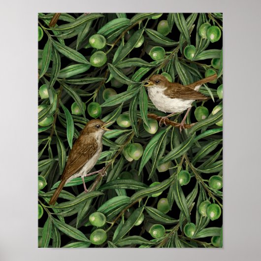 Nachtigales im Olivenbaum 3 Poster (Vorne)