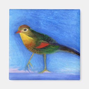 Nachtigall-Licht 2012 Magnet