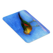 Nachtigall Light 2012 Magnet (Rechte Seite)