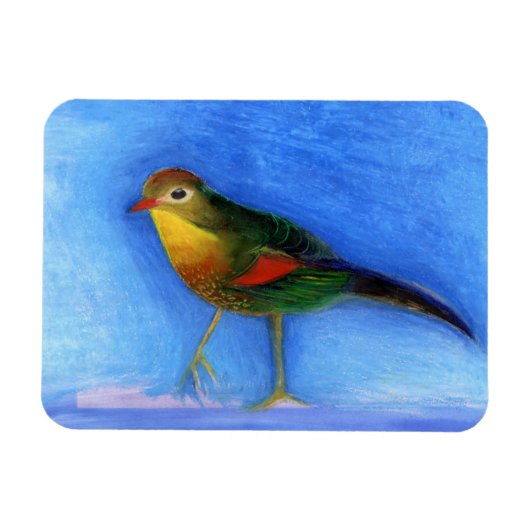 Nachtigall Light 2012 Magnet (Horizontal)