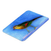 Nachtigall Light 2012 Magnet (Linke Seite)