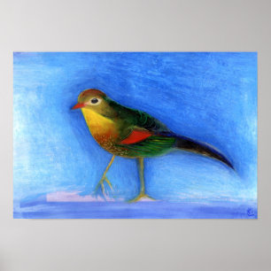 Nachtigall Light 2012 Poster