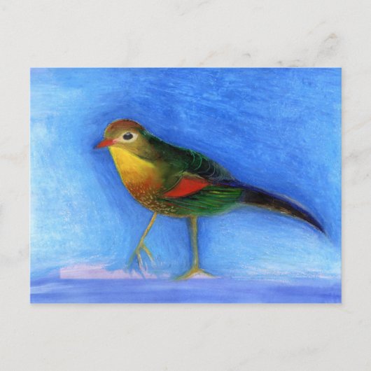 Nachtigall Light 2012 Postkarte (Vorderseite)