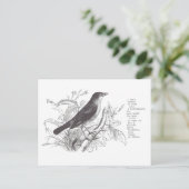 Nachtigall Postkarte (Stehend Vorderseite)