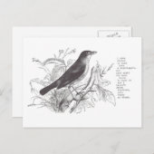 Nachtigall Postkarte (Vorne/Hinten)