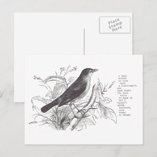 Nachtigall Postkarte (Vorne/Hinten)