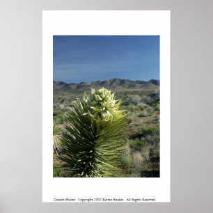 Nachtisch-Blüte Poster