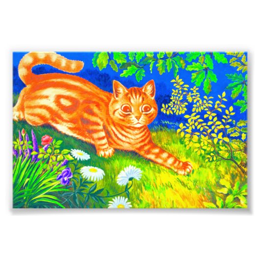 Nachtkatze Fotodruck (Vorne)