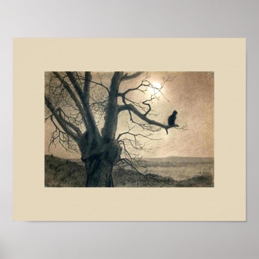 Nachtkatze in Baumposter Poster (Vorne)