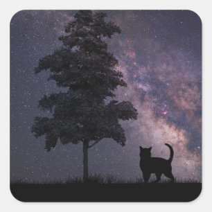 Nachtkatze Quadratischer Aufkleber