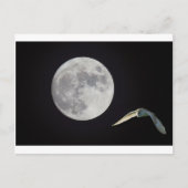 Nachtkeule Postkarte (Vorderseite)